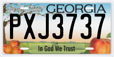 GA license plate PXJ3737