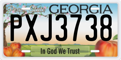 GA license plate PXJ3738