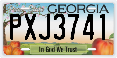 GA license plate PXJ3741