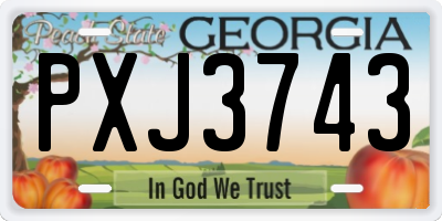 GA license plate PXJ3743
