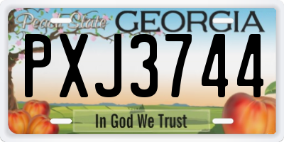 GA license plate PXJ3744