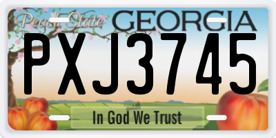 GA license plate PXJ3745