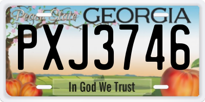 GA license plate PXJ3746