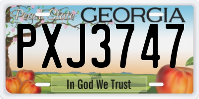GA license plate PXJ3747