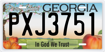 GA license plate PXJ3751