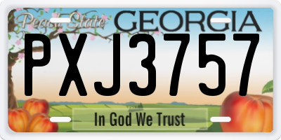 GA license plate PXJ3757