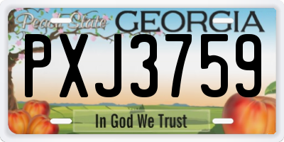GA license plate PXJ3759