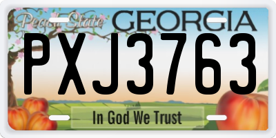 GA license plate PXJ3763