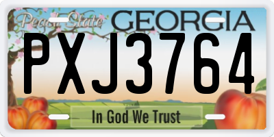 GA license plate PXJ3764