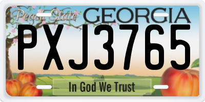 GA license plate PXJ3765