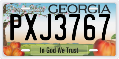 GA license plate PXJ3767