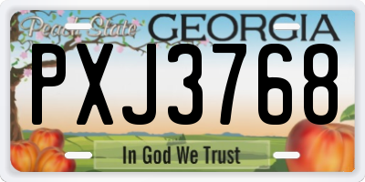 GA license plate PXJ3768