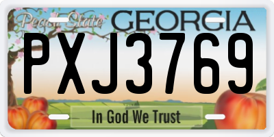 GA license plate PXJ3769