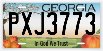 GA license plate PXJ3773