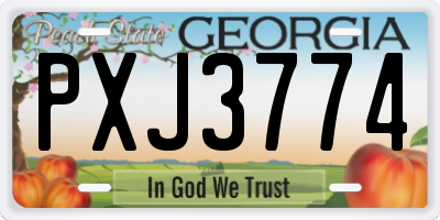 GA license plate PXJ3774