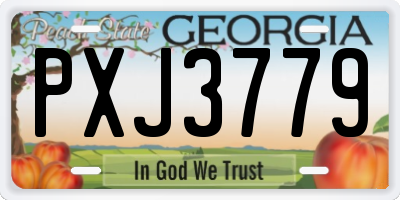 GA license plate PXJ3779