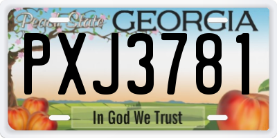 GA license plate PXJ3781