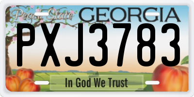 GA license plate PXJ3783
