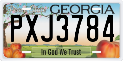 GA license plate PXJ3784