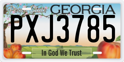 GA license plate PXJ3785
