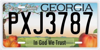 GA license plate PXJ3787