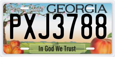 GA license plate PXJ3788