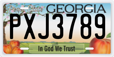 GA license plate PXJ3789