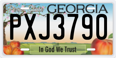 GA license plate PXJ3790