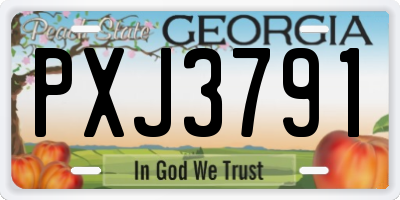 GA license plate PXJ3791