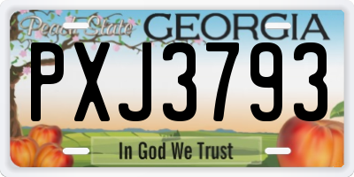 GA license plate PXJ3793