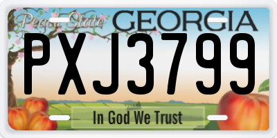 GA license plate PXJ3799