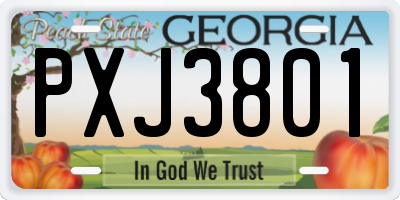 GA license plate PXJ3801