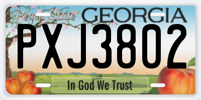 GA license plate PXJ3802