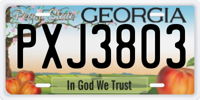 GA license plate PXJ3803