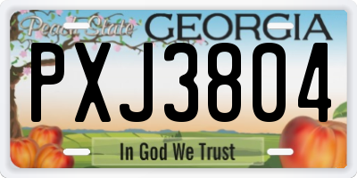GA license plate PXJ3804