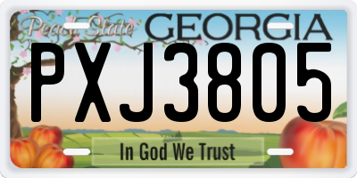 GA license plate PXJ3805