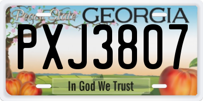 GA license plate PXJ3807