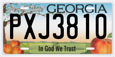 GA license plate PXJ3810