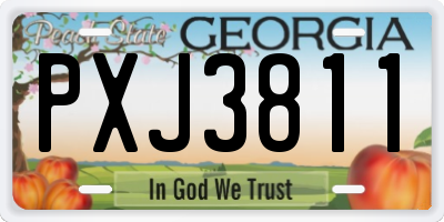 GA license plate PXJ3811