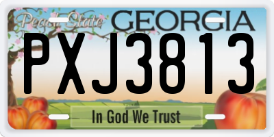 GA license plate PXJ3813