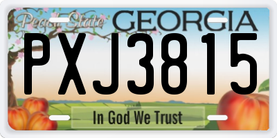 GA license plate PXJ3815