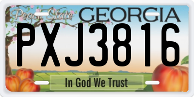 GA license plate PXJ3816