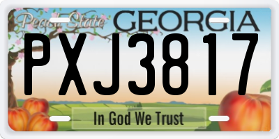 GA license plate PXJ3817
