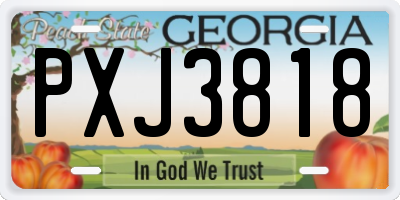 GA license plate PXJ3818