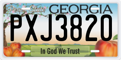 GA license plate PXJ3820