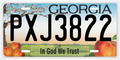GA license plate PXJ3822