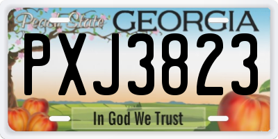 GA license plate PXJ3823