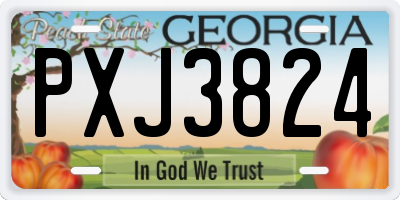 GA license plate PXJ3824