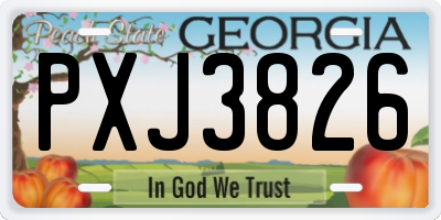 GA license plate PXJ3826