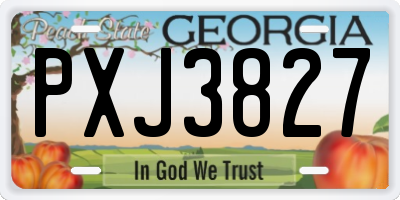 GA license plate PXJ3827